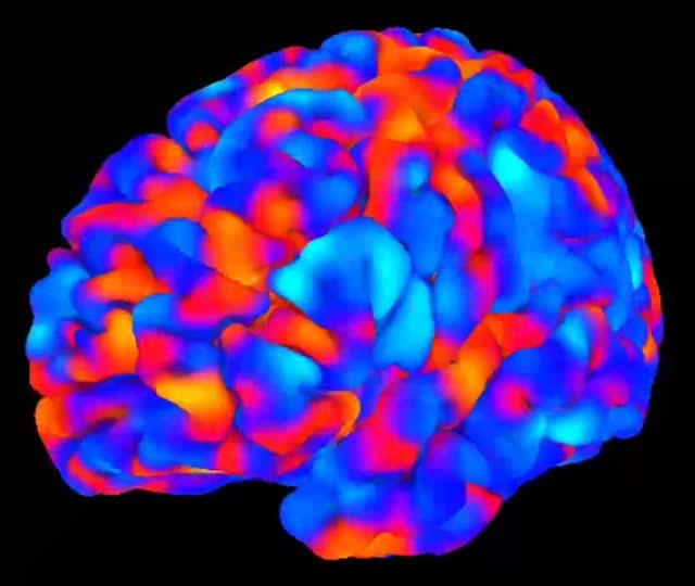 Resting-state BOLD activity on a cortical surface